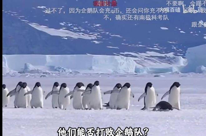 我国第1位美女宇航员刘洋，为何如今不见人影了？原因让国人泪目