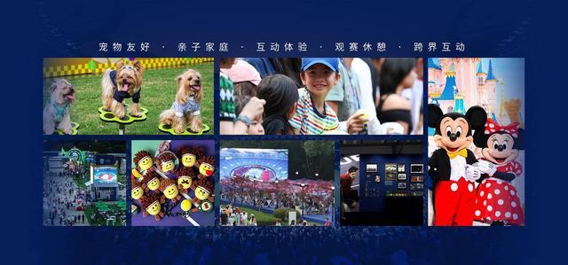 大场面先生德罗巴:揭秘切尔西传奇背后的意志磨砺与责任担当