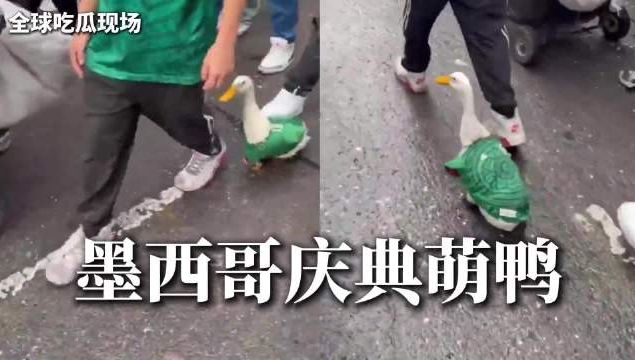 潘江下课！助教布扎斯接任山西主帅，曾带队横扫青岛，剑指总冠军
